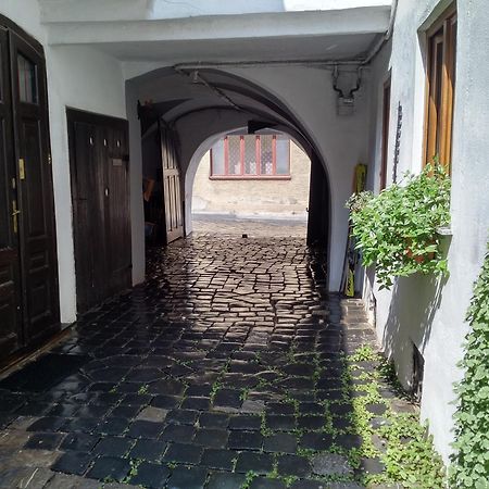 Guesthouse Postavarului Braşov Exteriör bild