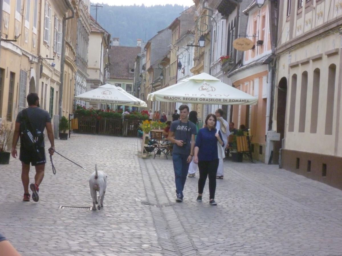 Guesthouse Postavarului Braşov Exteriör bild